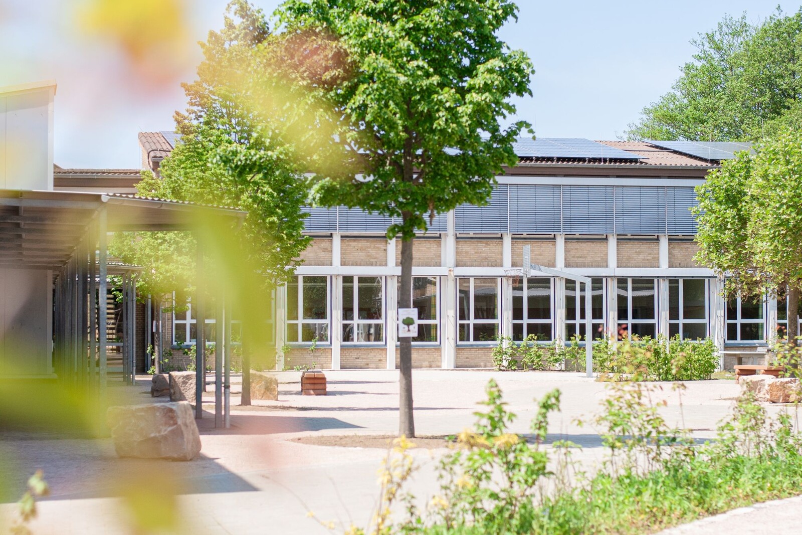 Nordseeschule Gemeinschaftschule Eingang